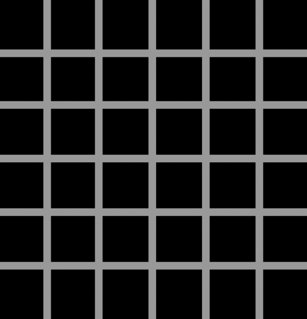 Creation of How Many Black Dots?: Step 2